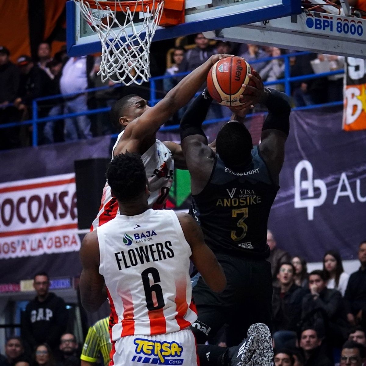 org_vmg01019.jpg_423682103