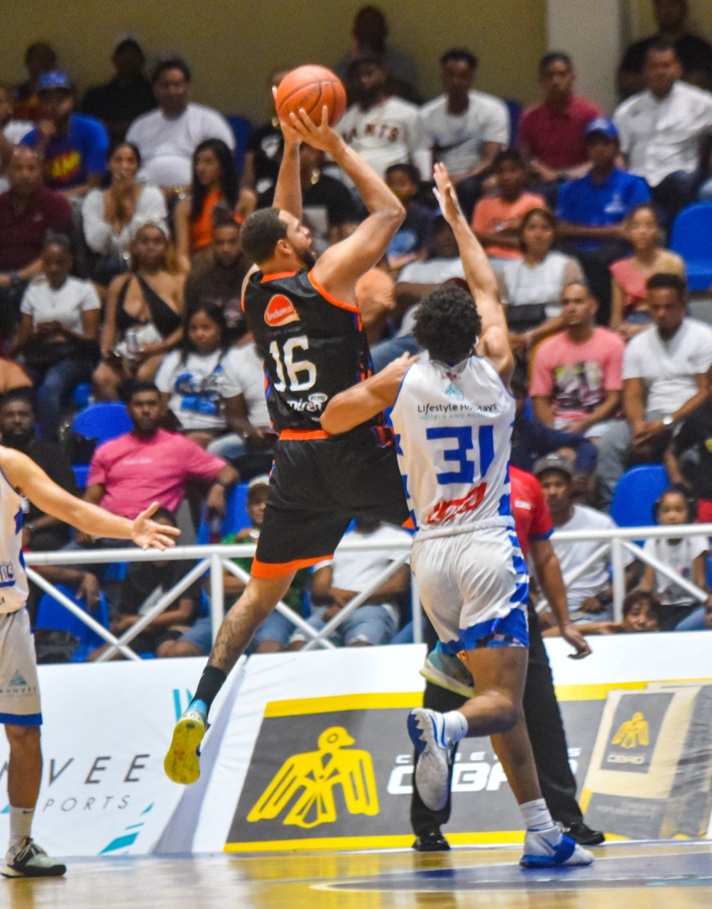 Justin Satchell Reales